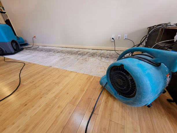 Professional Water Removal technician working in Hamler, OH